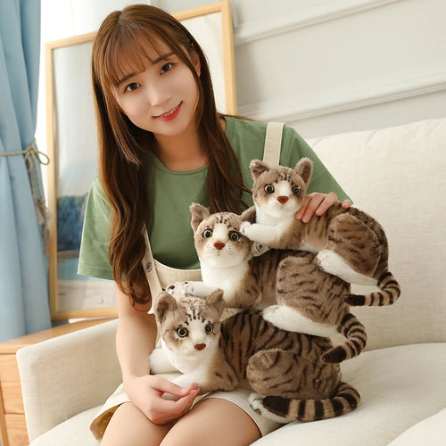 Load image into Gallery viewer, 26/30/40cm Real-life Cute Plush Cat Doll Soft Stuffed Animal Plush Kitten Toys for Children Cartoon Kids Girl Baby Birthday Gift
