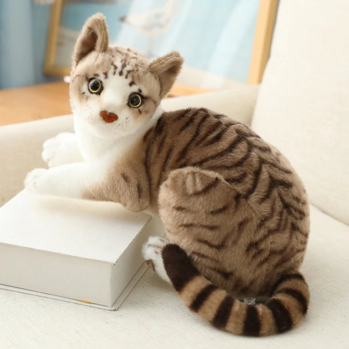 Load image into Gallery viewer, 26/30/40cm Real-life Cute Plush Cat Doll Soft Stuffed Animal Plush Kitten Toys for Children Cartoon Kids Girl Baby Birthday Gift
