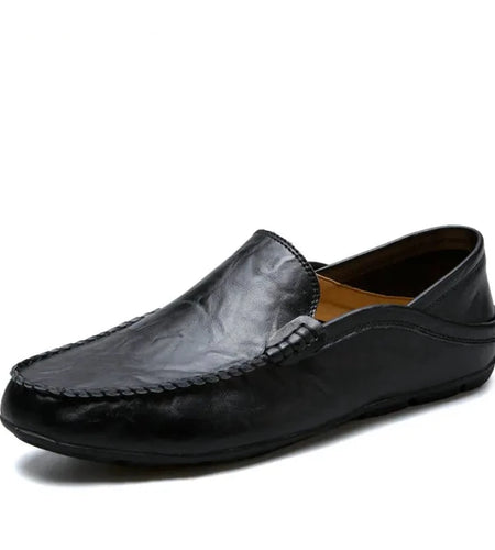 44607484461278|44607484494046|44607484526814|44607484559582|44607484592350|44607484625118|44607484657886|44607484690654|44607484723422|44607484756190