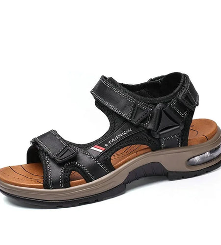 44650251256030|44650251288798|44650251321566|44650251354334|44650251387102|44650251419870|44650251452638|44650251485406|44650251518174|44650251550942