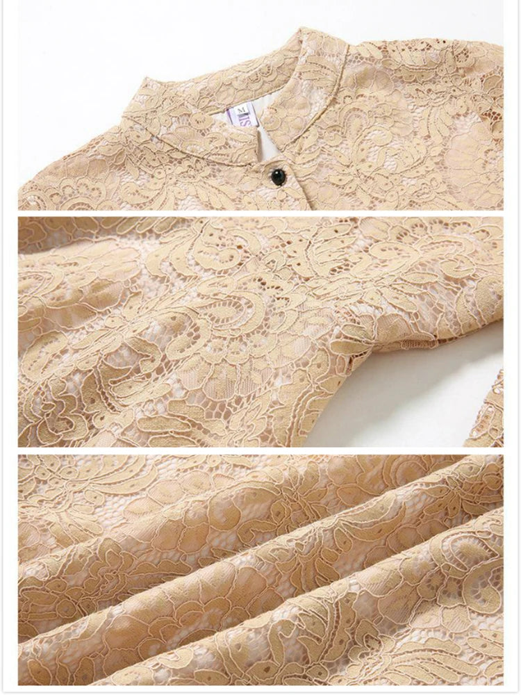 Spring Autumn Lace Long Dress Women Stand Neck Long Sleeve Slim Office Work Dress Female Elegant Party Dresses