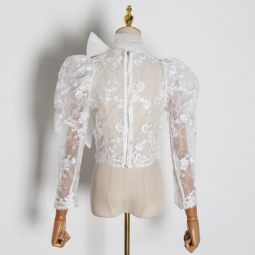 Load image into Gallery viewer, Lace Embroidery Perspective Shirt For Women Stand Collar Puff Long Sleeve Slim Blouses Female Fashion Clothing
