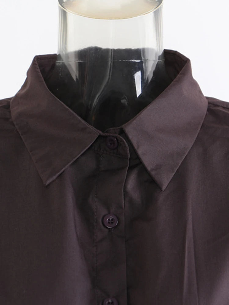 Women Brown Pleated Elegant Irregular Big Size Blouse New Lapel Long Sleeve Shirt Fashion Tide Spring Autumn 2025  1DJ1089