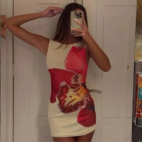 Load image into Gallery viewer, Mesh Floral Print Sexy Mini Dress Women Robe Summer New O Neck Sleeveless Slim Beach Holiday Bodycon Club Dress
