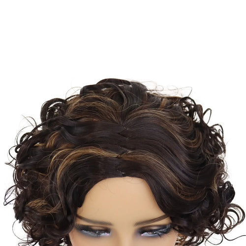 Load image into Gallery viewer, Afro Curly Wigs Short Synthetic Hair Regular Wigs for Black Women High Temperature Fiber High Quality Wigs Highlights
