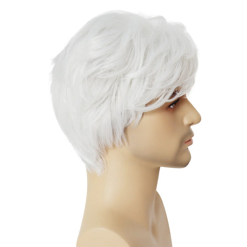 Load image into Gallery viewer, White Wig Short Hair Cosplay Wigs for Men Natural Looking White Old Man Wig with Bangs Halloween Costume Wig Male Sale
