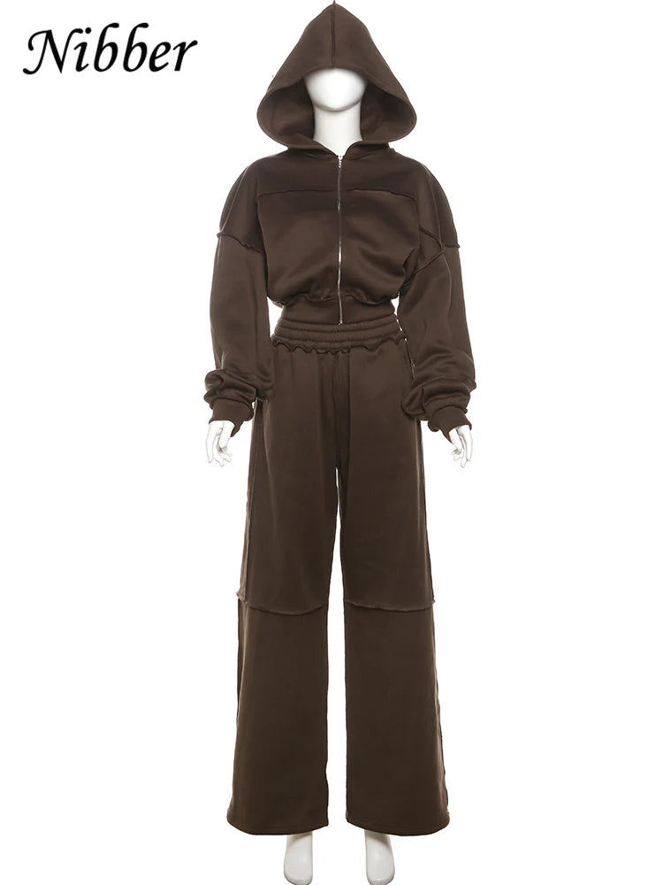 Sporty Women 2 Piece Set Casual Tracksuit Panelled Stripes Simple Hipster Hooded Zip Jacket+Wide Pants Matching Suits