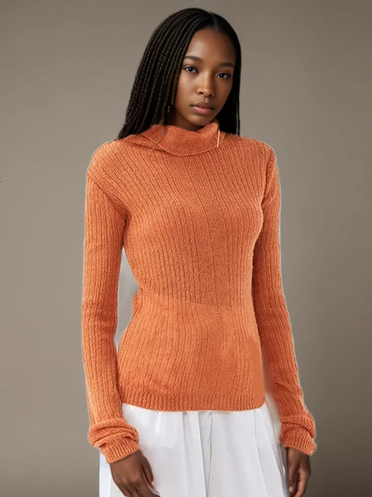 Solid Minimalist Slimming Knitting Sweaters For Women Turtleneck Long Sleeve Casual Pullover Sweater Female Fashion Style