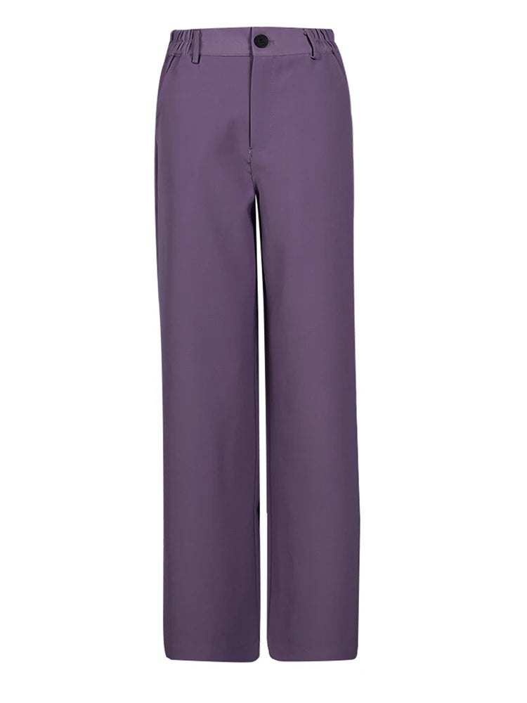 Purple Pleated Blazer Wide Leg Pants Two Piece Suit New Lapel Long Sleeve Women Fashion Tide Spring Autumn 2025 CPG2785