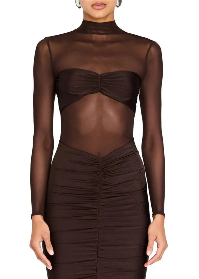 Sheer Long Sleeve Ruched Sexy Maxi Dress Women Fashion Half High Collar See Through Backless Bodycon Sexy Long Dress