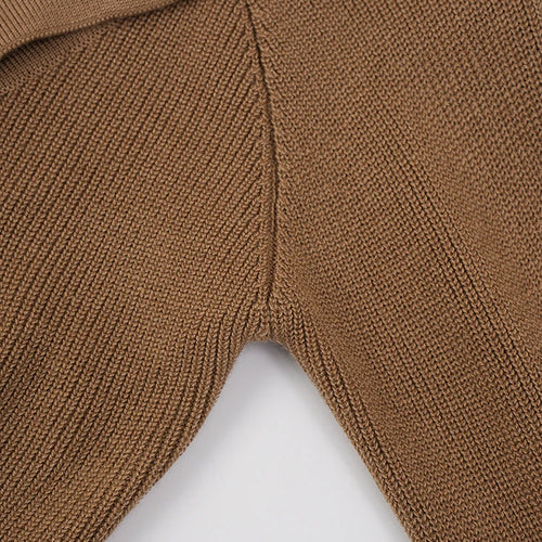 Load image into Gallery viewer, Brown Irregular Slim Knitting Sweater Turtleneck Long Sleeve Women Pullovers New Fashion Tide Spring Autumn 2025 CPDB243
