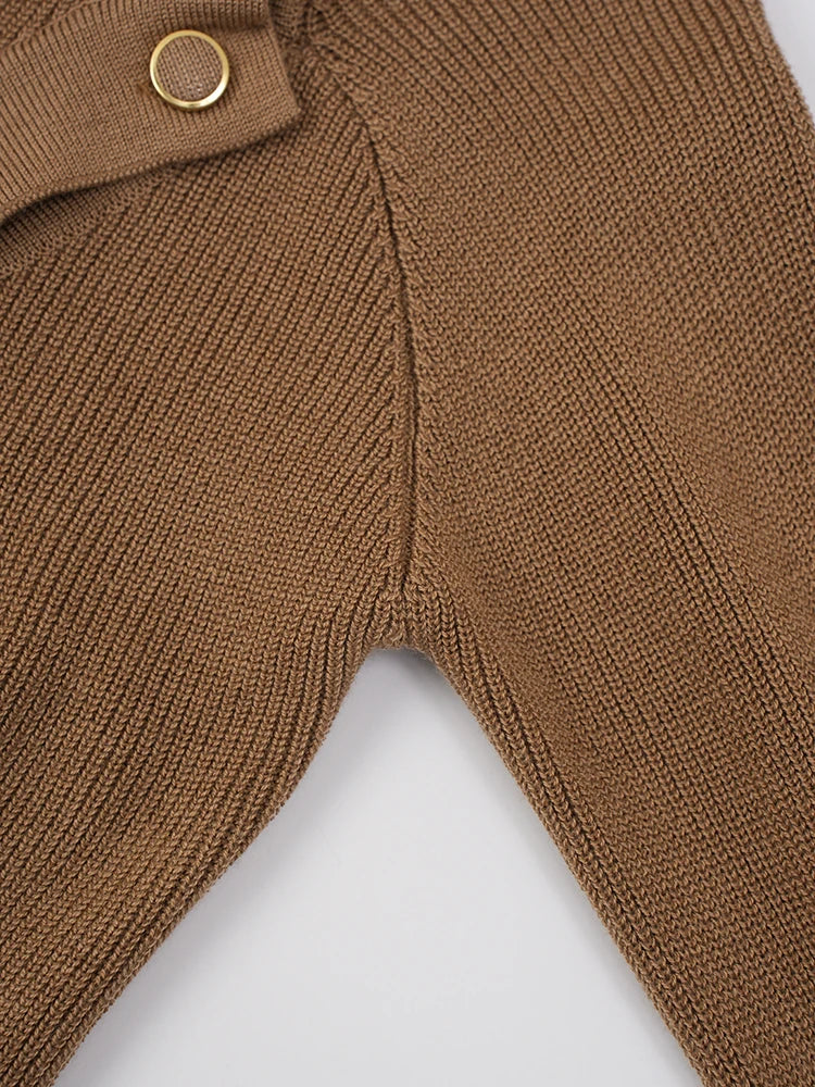 Brown Irregular Slim Knitting Sweater Turtleneck Long Sleeve Women Pullovers New Fashion Tide Spring Autumn 2025 CPDB243