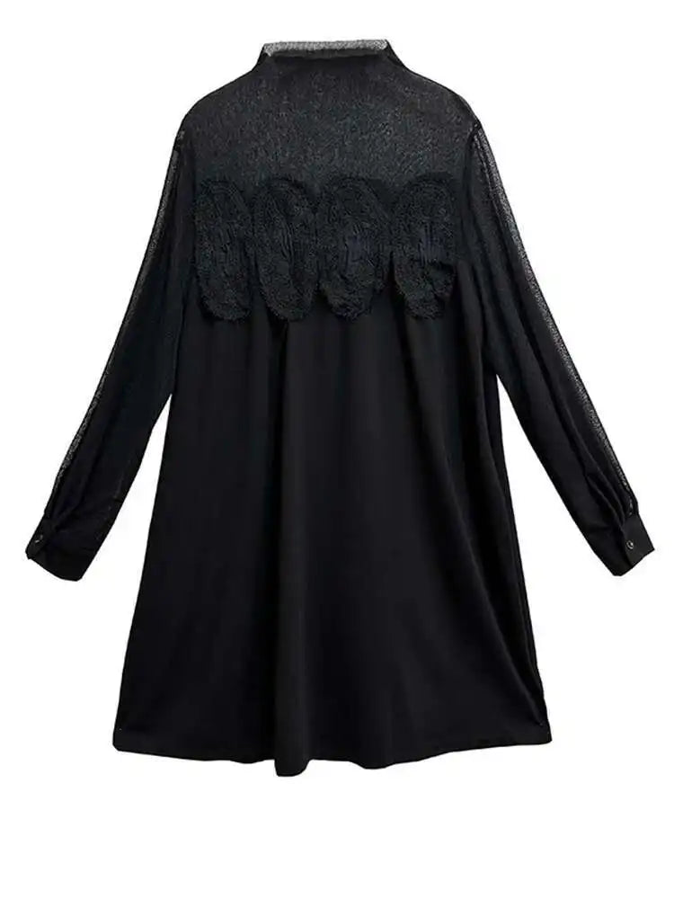 Women Black Mesh Lace Big Size Elegant Knee-Length Dress New Turtleneck Long Sleeve Fashion Spring Autumn 2025 1DH8734