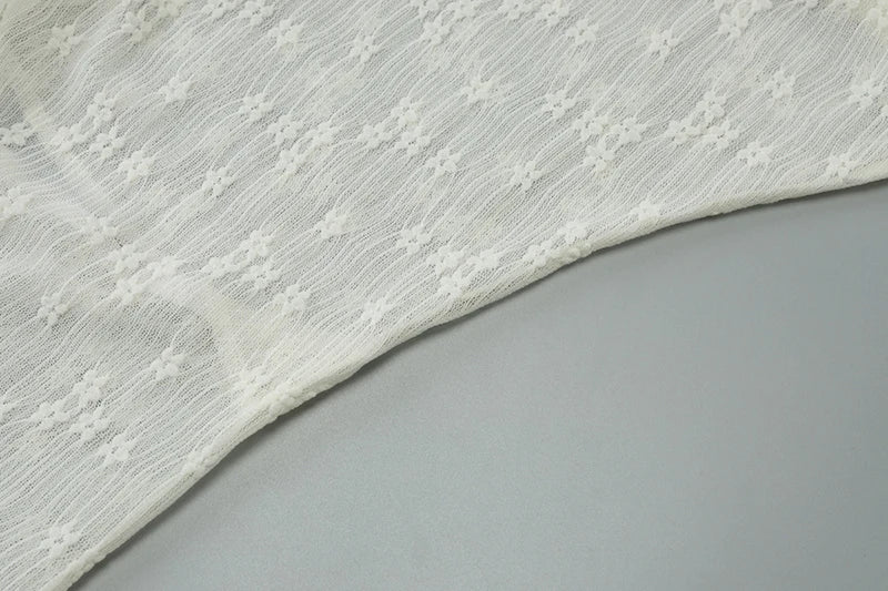 See Through Lace Halter Sexy Mini Dress Women Robe Halter Deep V Neck Backless Draped Ruffled Club Party Beach Dress