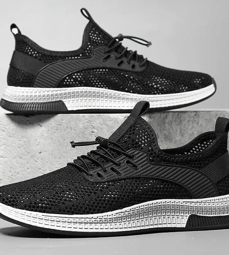 44650246897886|44650246930654|44650246963422|44650246996190|44650247028958|44650247061726|44650247094494|44650247127262|44650247160030