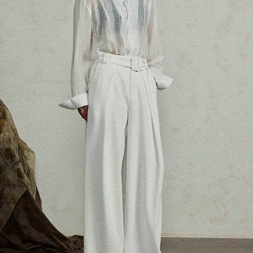 Load image into Gallery viewer, Women White Thin Perspective Big Size Blouse New Stand Collar Long Sleeve Shirt Fashion Tide Spring Autumn 2025 1DJ0350
