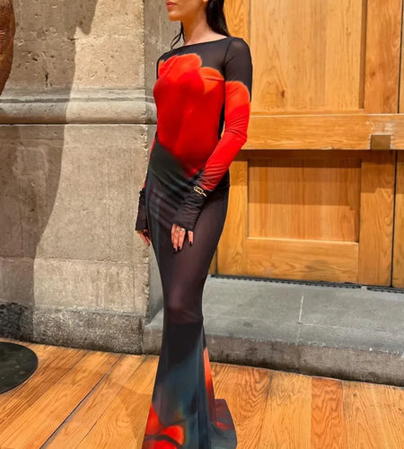 Fashion Printed Long Sleeve Mesh Patchwork Dress Women Sexy Perspective Vestido Elegant Slimming Holiday Clothing 2025