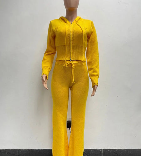 Sporty 2 Piece Set Women Hooded Cardigan Crop Jacket+Drawstring Straight Pants Fit Simple Classic Basic Casual Tracksuit