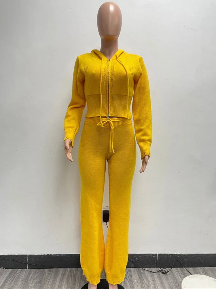 Sporty 2 Piece Set Women Hooded Cardigan Crop Jacket+Drawstring Straight Pants Fit Simple Classic Basic Casual Tracksuit