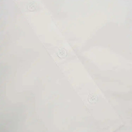 Load image into Gallery viewer, Women White Big Size Elegant Shirt Dress New Stand Collar Long Flare Sleeve Fashion Tide Spring Autumn 2025 CPDB216
