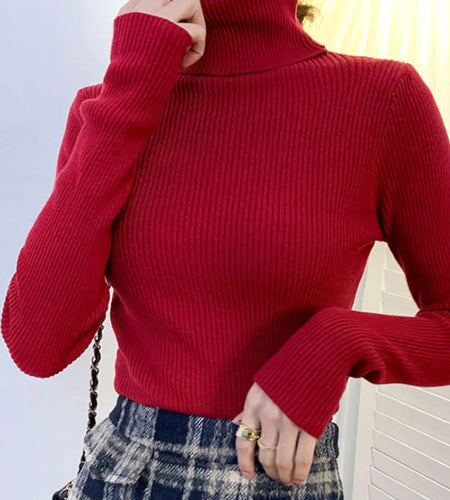New 2025 Women Pullover Turtleneck Sweater Autumn Long Sleeve Slim Elastic Korean Simple Basic Cheap Jumper Solid Color Top