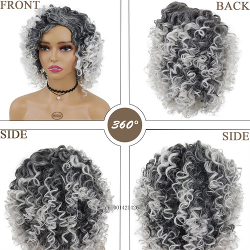 Load image into Gallery viewer, Ombre Grey Wigs for Women Synthetic Hair Natural Curly Wigs Cosplay Party Carnival Costume Shourt Colly Hairstyle Clearance Sale
