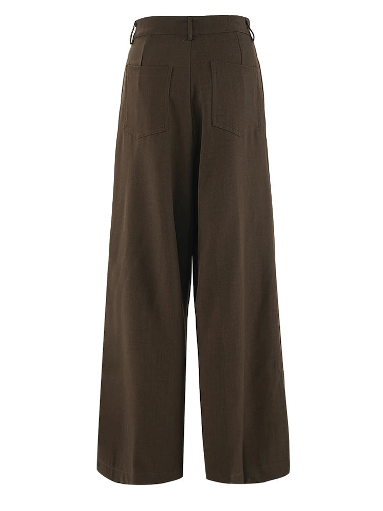 High Waist Brown Pleated Shaped Long Wide Leg Elegant Pants New Trousers Women Fashion Tide Spring Autumn 2025 CPG2118