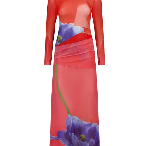 Load image into Gallery viewer, Elegant Long Sleeved Printed Mesh Patchwork Maxi Dress Women Fashion Autumn Winter New 2025 Vestidos Party Evening Dress
