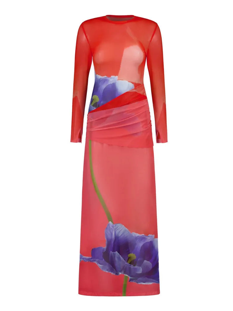 Elegant Long Sleeved Printed Mesh Patchwork Maxi Dress Women Fashion Autumn Winter New 2025 Vestidos Party Evening Dress