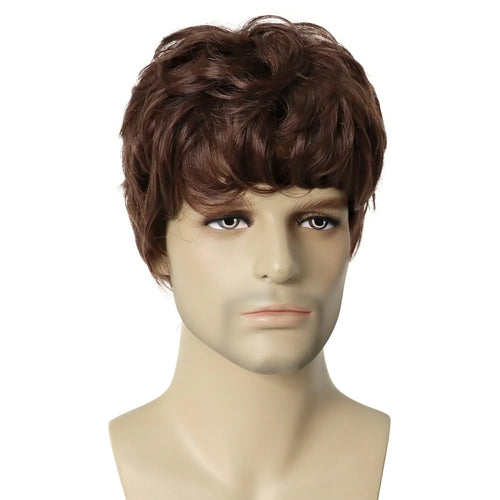 Load image into Gallery viewer, Synthetic Wigs for Men Short Brown Wig Curly Hair for Man Guy Natural Wig Curly Korean Hairstyles Brunette Boy Wigs
