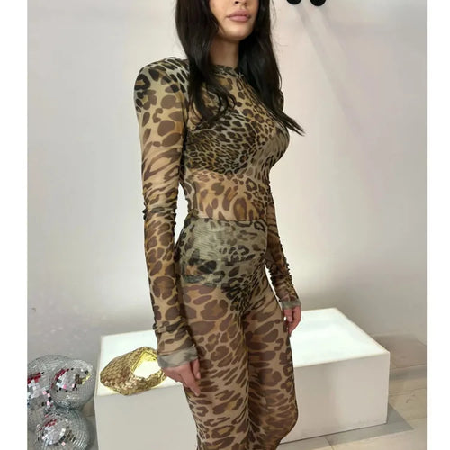 Load image into Gallery viewer, Sexy Elastic Tight Long Sleeved Leopard Print Long Pants Two-piece Set Women Slim Party Nightclub 2025 Spring New Set
