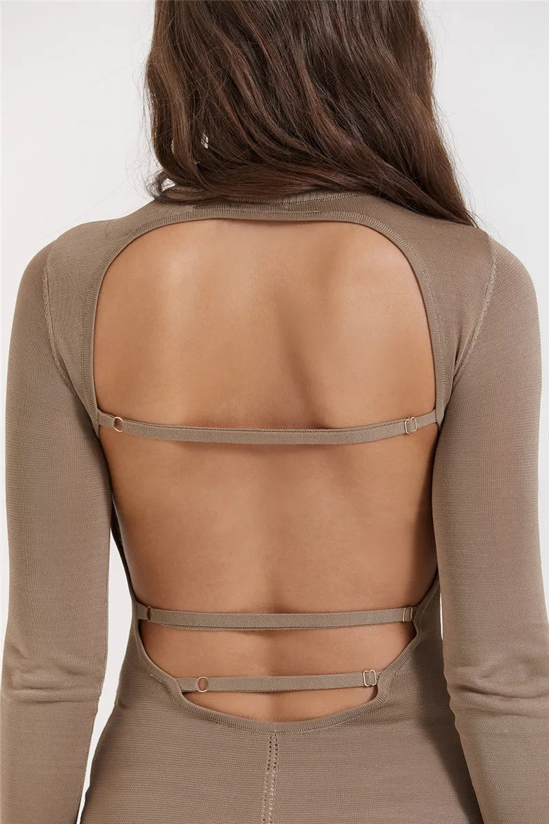 Turtleneck Backless Bodycon Midi Dress For Women New Autumn Winter Long Sleeve Club Party Sexy Long Dress Vestidos