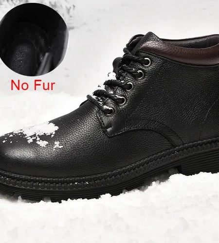 44637585539294|44637585572062|44637585604830|44637585637598|44637585670366|44637585703134|44637585735902|44637585768670|44637585801438|44637585834206