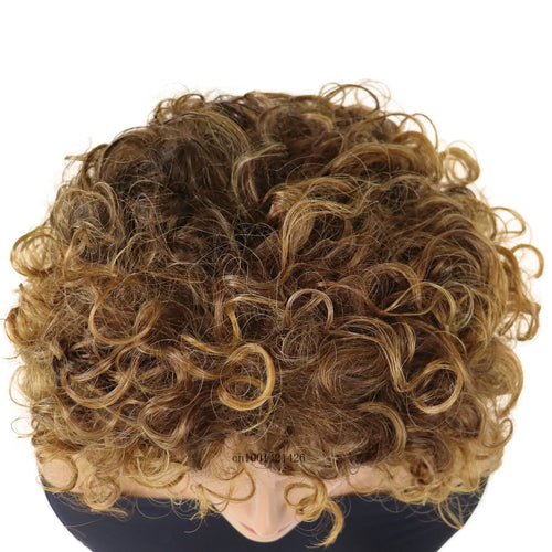 Load image into Gallery viewer, Afro Curly Wigs for Women Synthetic Hair Ombre Brown Wig with Bangs Heat Resitant Fiber Costume Wigs Natural Haircuts Mommy Wig
