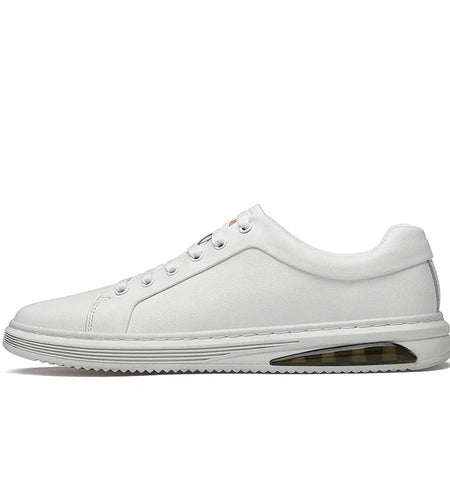 44647963689182|44647963721950|44647963754718|44647963787486|44647963820254|44647963853022|44647963885790|44647963918558