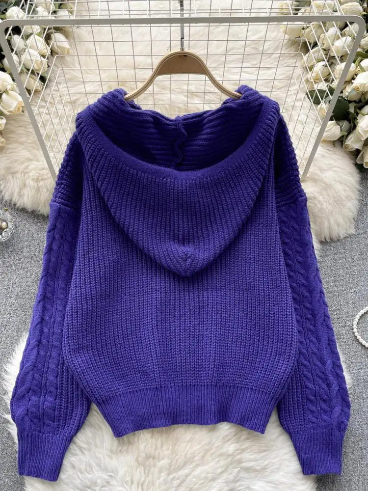 Korean Women Black Twists Hooded Knitted Sweater Fashion Blue Loose Long Sleeve Lady Green Pullovers Tops Casual Autumn Winter