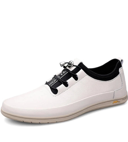 44647964213470|44647964246238|44647964279006|44647964311774|44647964344542|44647964377310|44647964410078|44647964442846|44647964475614|44647964508382|44647964541150