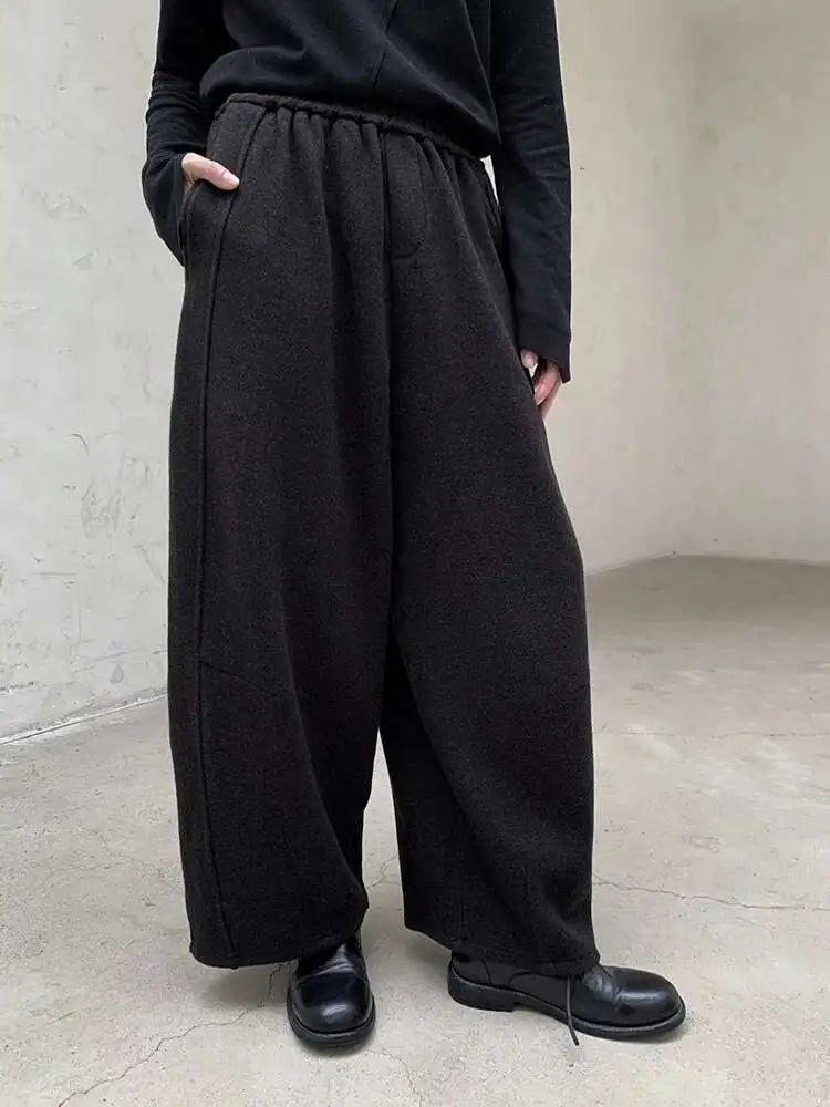 High Elastic Waist Dark Gray Brief Thick Long Wide Leg Pants New Trousers Women Fashion Tide Autumn Winter 2025 1DH8384