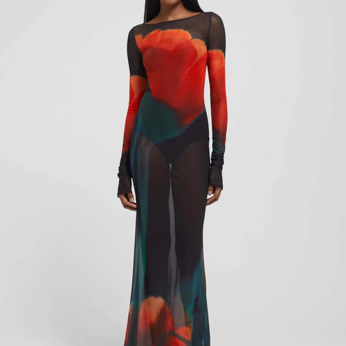 Load image into Gallery viewer, Fashion Printed Long Sleeve Mesh Patchwork Dress Women Sexy Perspective Vestido Elegant Slimming Holiday Clothing 2025
