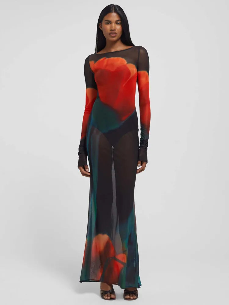 Fashion Printed Long Sleeve Mesh Patchwork Dress Women Sexy Perspective Vestido Elegant Slimming Holiday Clothing 2025