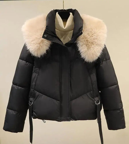 Korean Version 2024 New Casual Solid Hooded Fur Neck Short Cotton Padded Jacket Winter Retro Zipper Bread Down Thick Coat Street