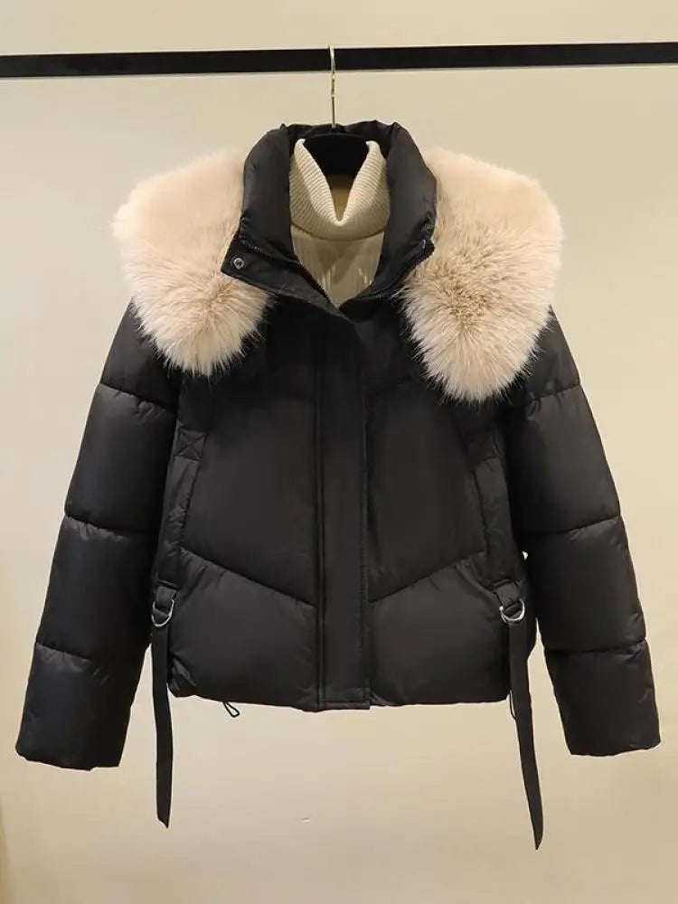 Korean Version 2024 New Casual Solid Hooded Fur Neck Short Cotton Padded Jacket Winter Retro Zipper Bread Down Thick Coat Street