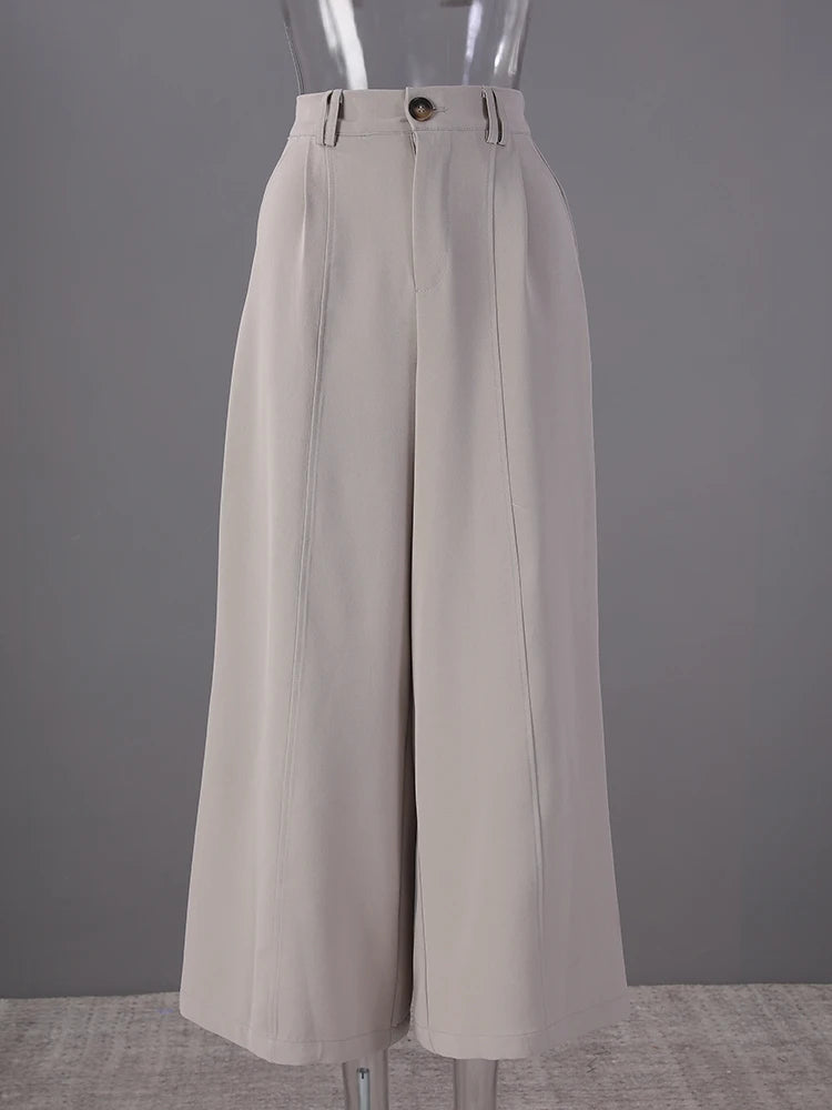 High Elastic Waist Gray Coffee Pleated Long Wide Leg Pants New Trousers Women Fashion Tide Spring Autumn 2025 7AB8772