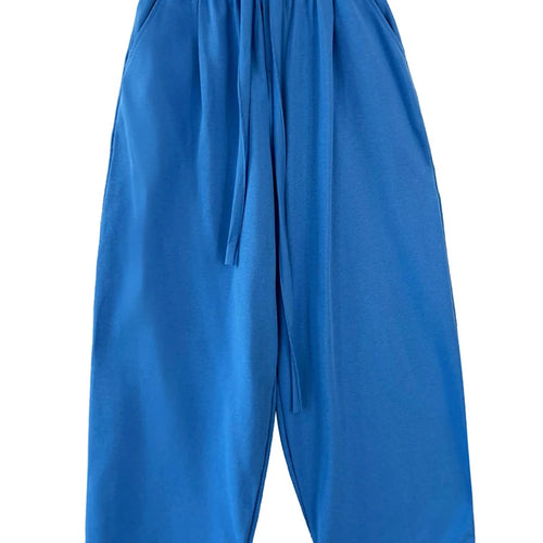 Load image into Gallery viewer, High Elastic Waist Black Drawstring Long Casual Wide Leg Pants New Trousers Women Fashion Tide Spring Autumn 2025 1DJ0194
