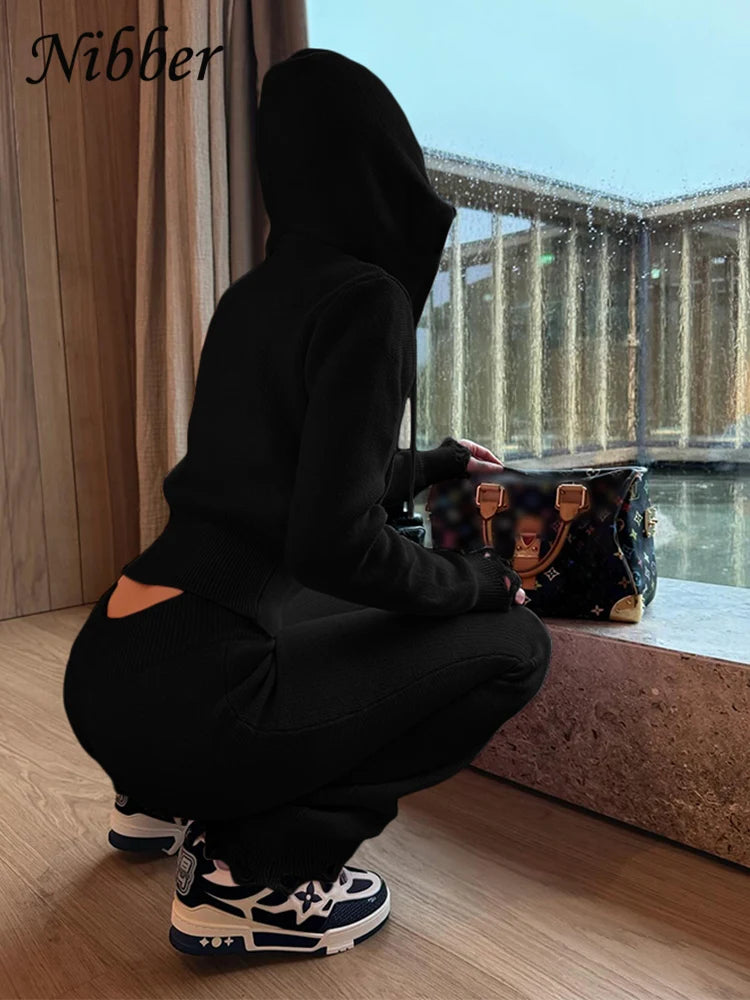 Casual Sporty 2 Piece Set Women Tracksuit Knit Hooded Zip Jacket+Straight Pants Sporty leisure Stretch Matching Streetwear