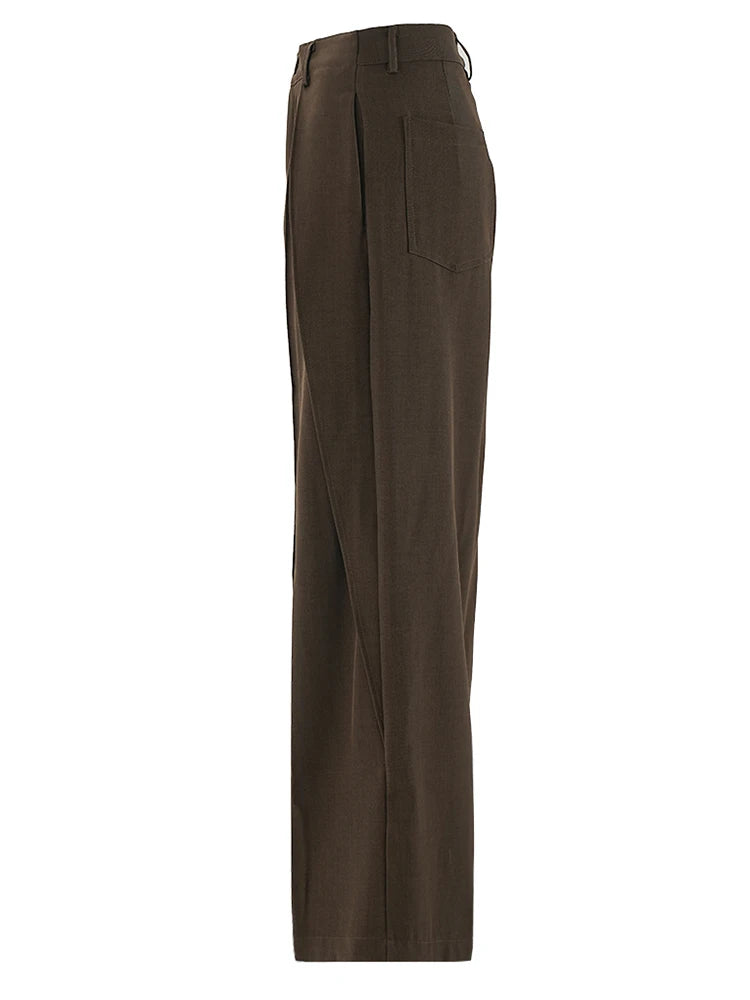 High Waist Brown Pleated Shaped Long Wide Leg Elegant Pants New Trousers Women Fashion Tide Spring Autumn 2025 CPG2118