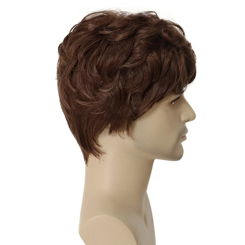 Load image into Gallery viewer, Synthetic Wigs for Men Short Brown Wig Curly Hair for Man Guy Natural Wig Curly Korean Hairstyles Brunette Boy Wigs
