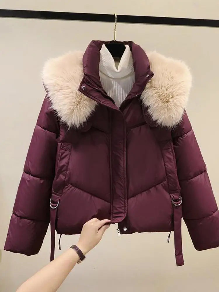 Korean Version 2024 New Casual Solid Hooded Fur Neck Short Cotton Padded Jacket Winter Retro Zipper Bread Down Thick Coat Street