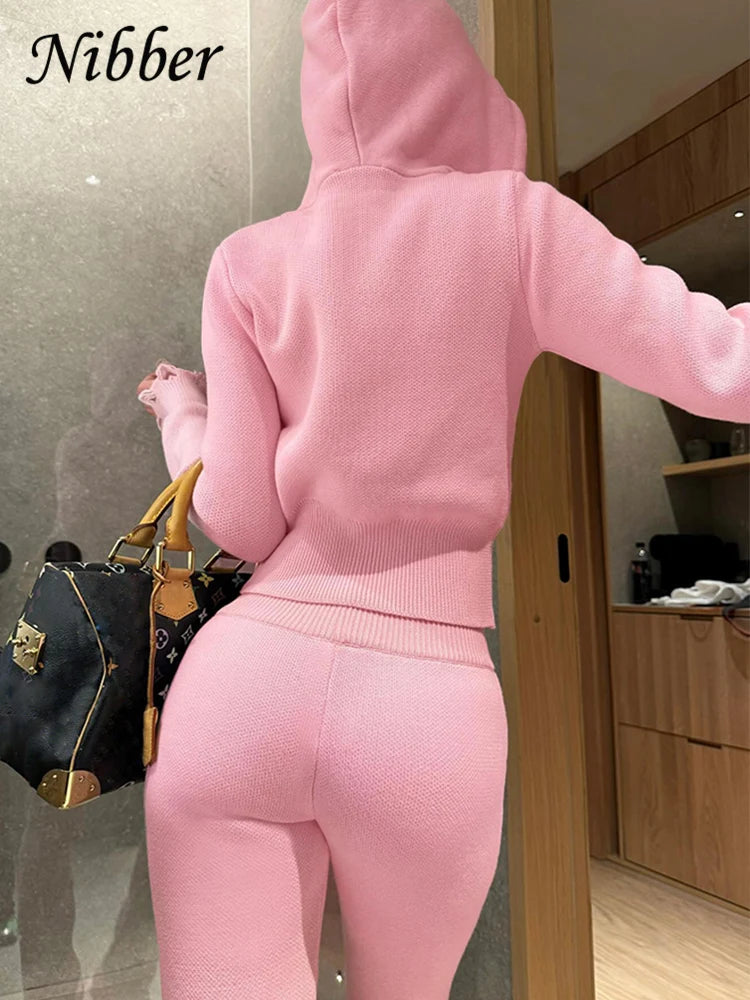 Casual Sporty 2 Piece Set Women Tracksuit Knit Hooded Zip Jacket+Straight Pants Sporty leisure Stretch Matching Streetwear