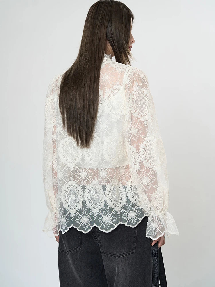 Women Apricot Lace Perspective Elegant T-shirt New Stand Collar Long Sleeve Fashion Tide Spring Autumn 2025 1DH9585